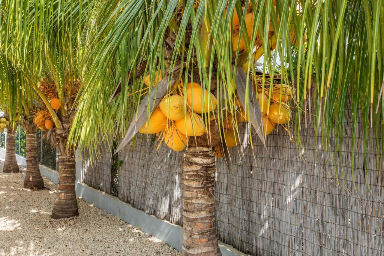 Paradise Apartments - Curacao Fontein Luaran gambar
